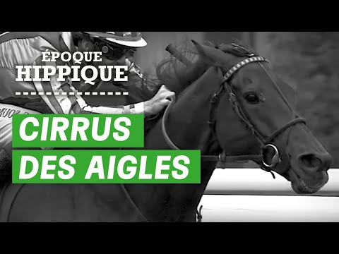 L'histoire de Cirrus des Aigles : digne d'un personnage de roman | Époque Hippique | PMU