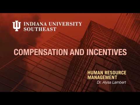 人事管理：報酬とインセンティブ (HR Management: Compensation & Incentives)