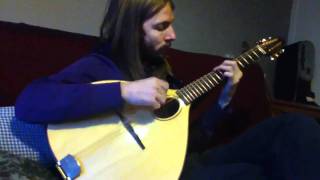 Irish bouzouki Cittern by NK forster, played by Ian Stephenson