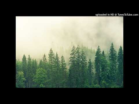 justin bieber x chris brown x jason derulo / 2010s pop guitar type beat | "never a new girl"