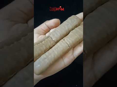 TofiLuk Chocolate #Shorts #Unboxing #Queen's #Chocolate