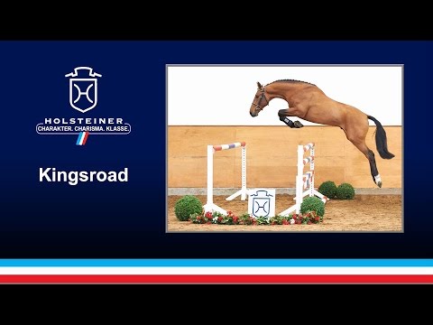 Kingsroad v. Kannan KWPN-Corofino I / 2017