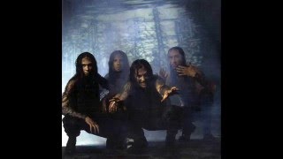 VADER -Carnal/Fractal Light.