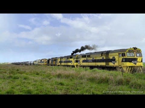 7934V Southern Shorthaul Railroad (SSR) Grain Train - PoathTV Australian Railways