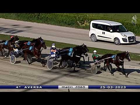 Aversa trotto 25 Marzo 2023 - 4° Corsa