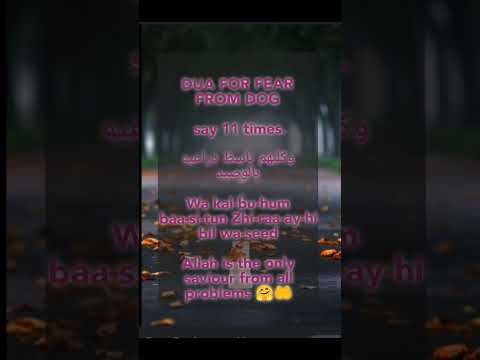 DUA FOR FEAR FROM DOGS # dua #allah #islam #short nek kaam please like and subscribe jazakallah 🤲
