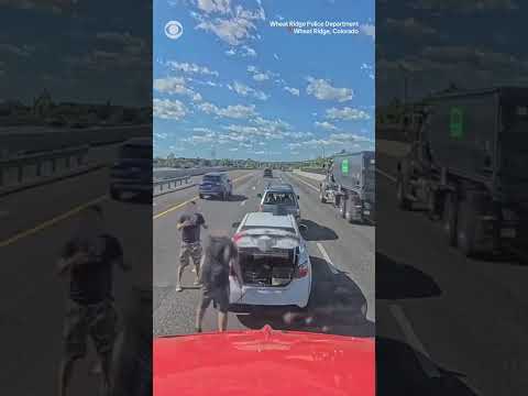 2 drivers stop on Colorado highway, confront each other, #shorts