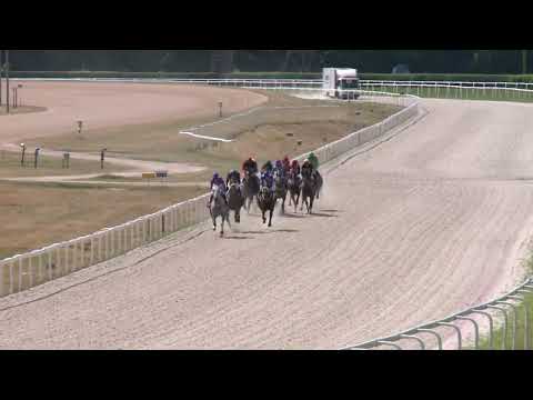 2022.07.03. 04. futam - HIGHLAND GOLF CLUB - VATINIUS HENDIKEP (V.o.) (szintetikus pálya)