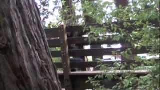 Fall Out Boy- Favorite Record (Music Video)