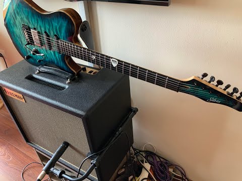 Friedman Runt 50 combo