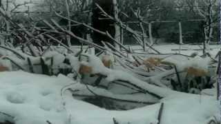 Hypnose S.G.D.G. à Letebrhö — Music Video