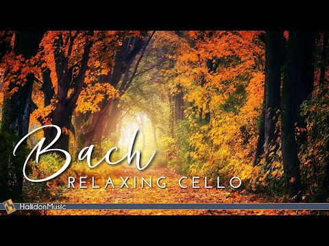 Bach - Relaxing Cello Music