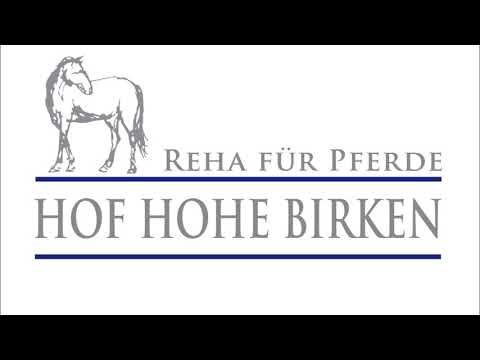 Reha und Fitness für Pferde