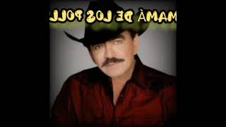 LA MAMÁ DE LOS POLLITOS Joan Sebastian