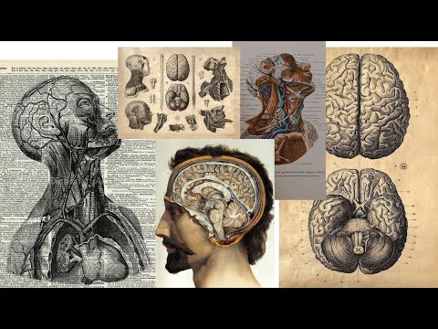 Scientists Say the Universe Is in Someone’s Brain-And It’s Terrible