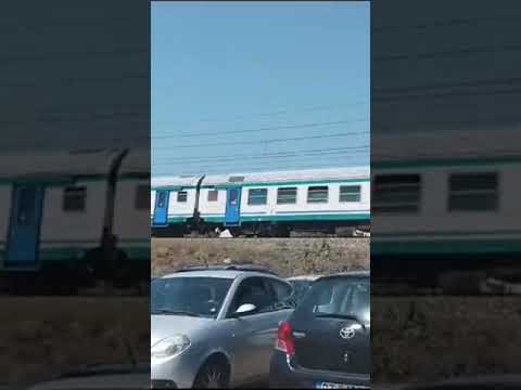 REG Reggio di Calabria Centrale - Cosenza. A Gizzeria Lido #treni #shors