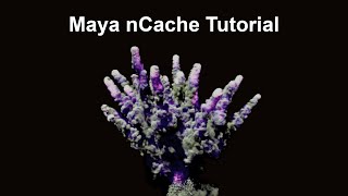 Maya Fluid Cache Tutorial