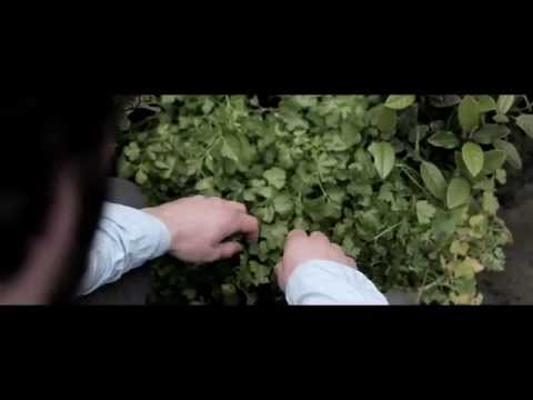 video frame placeholder