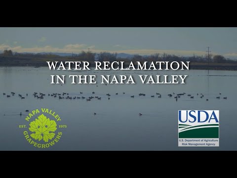Water Reclamation in the Napa Valley