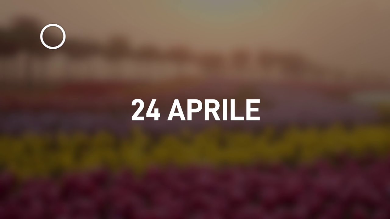 24 Aprile 2024 | Meditazione Parole di Vita