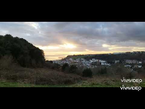 KING OF THE ROLLERS X KATY B X OZONE "PARADISE"