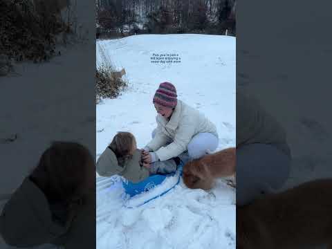 Everything is just funnier in the snow❄️oh to be a kid again ...