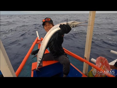 EP815-P1 - Day 3 of Tuna Series