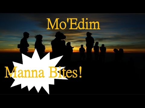 Manna Bites! ~  Mo'edim