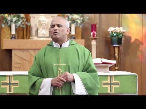 Fr. Rudolf V. D'Souza- That evening, at sunset, they bought to Jesus all who were sick or possessed.