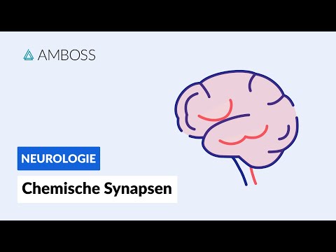 How chemical synapses work - Biochemistry - AMBOSS Video