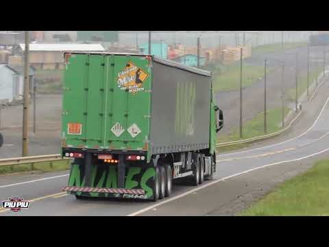 TABAJARA GBN 080 NA MORALZINHA!😍