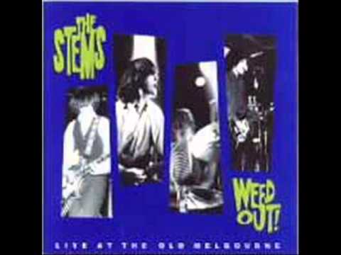 THE STEMS - the otherside