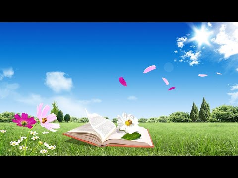 Natural status|New Natural phenomenon video|Whatsapp status video 2021