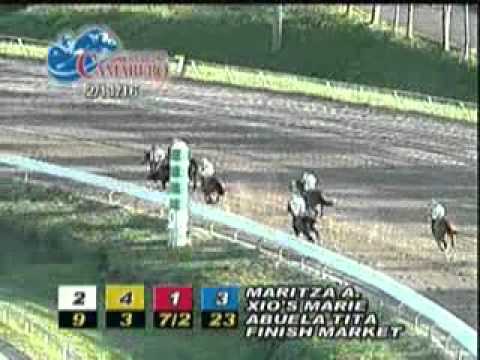 Carrera 7 11/febrero/2016 Moorland Like()