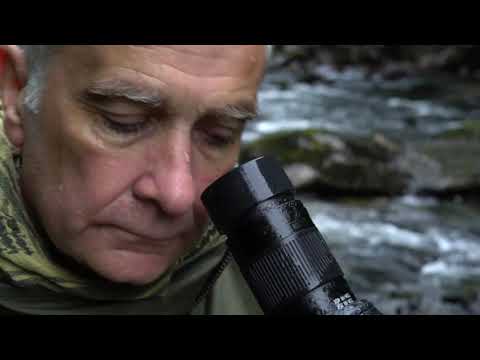 Kowa Eyepiece 35x/40x Extreme Wide TE-80XW