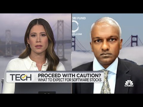 Amazon Web Services revenue growth will slow down more in 2023, says Satori Fund's Niles