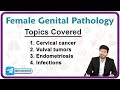 Female Reproductive Pathology Part 1 Cervical Cancer Vulval Tumors Endometriosis Infections