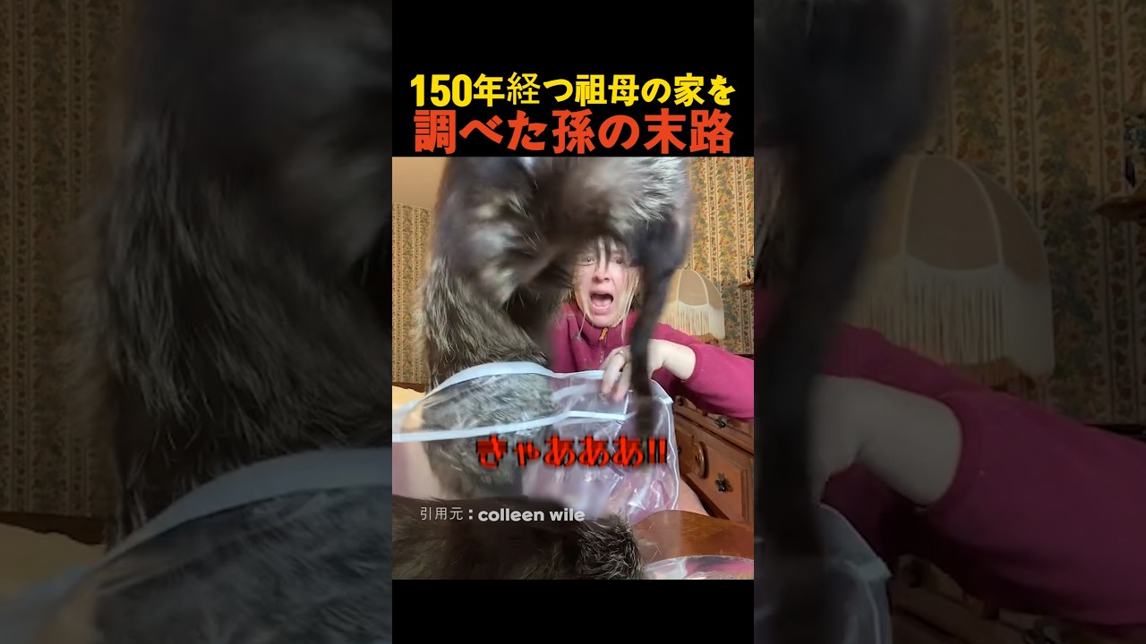 150年経つ祖母の家を調べた孫の末路
