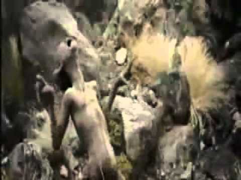 Bo ja tańczyć chce - Grupa LOTR ;]