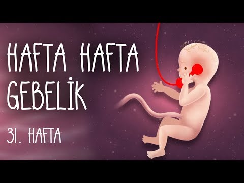 Hafta Hafta Gebelik 31. hafta