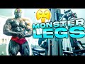 Home Workout - LEGS (QUADS) | Kali Muscle