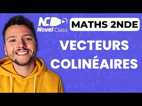 VECTEURS COLINÉAIRES en 2 minutes - Maths Seconde