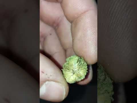 Pgr Vs No Pgr