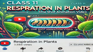 CBSE Class 11 || Biology || Respiration in Plants || Animation || in English