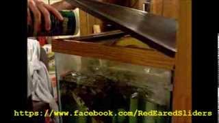 How to Get Your Red Eared Slider to Eat Vegetables.