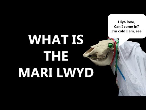 What is the Mari Lwyd?