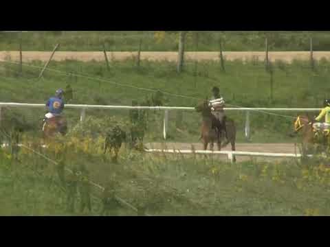 220310 c02 - 1° PROCURADOR - SINT - COLONIA