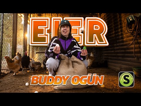 Eier - Buddy Ogün