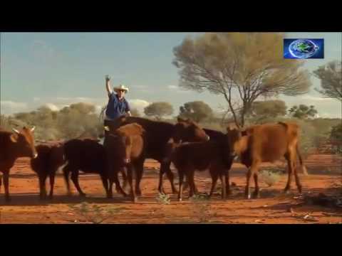 Australien eine Zeitreise _ Vor 4 Milliarden Jahren Entdeckung Leben Jurazeit _VOLL