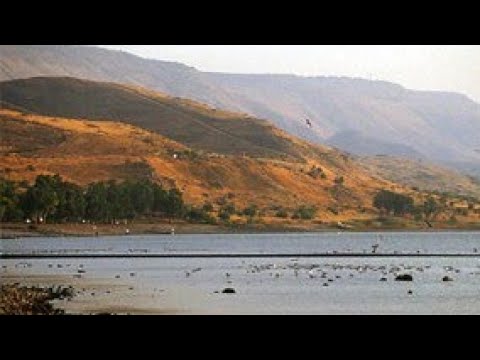 Gerasa vs. Gadara - ein Fehler der Synoptiker?